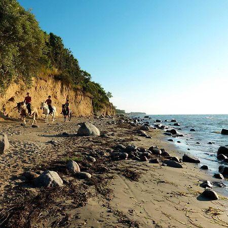 Haus Suedwester Hummer Insel Poel Luaran gambar