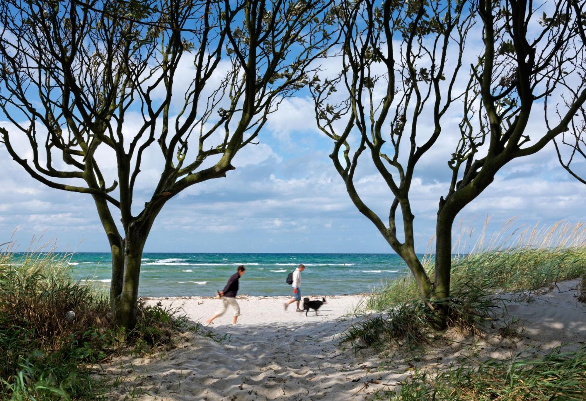 Haus Suedwester Hummer Insel Poel Luaran gambar